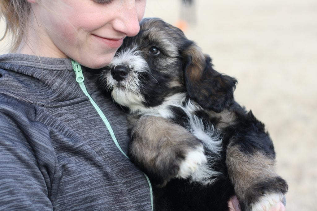 a woman holding her lovely dog