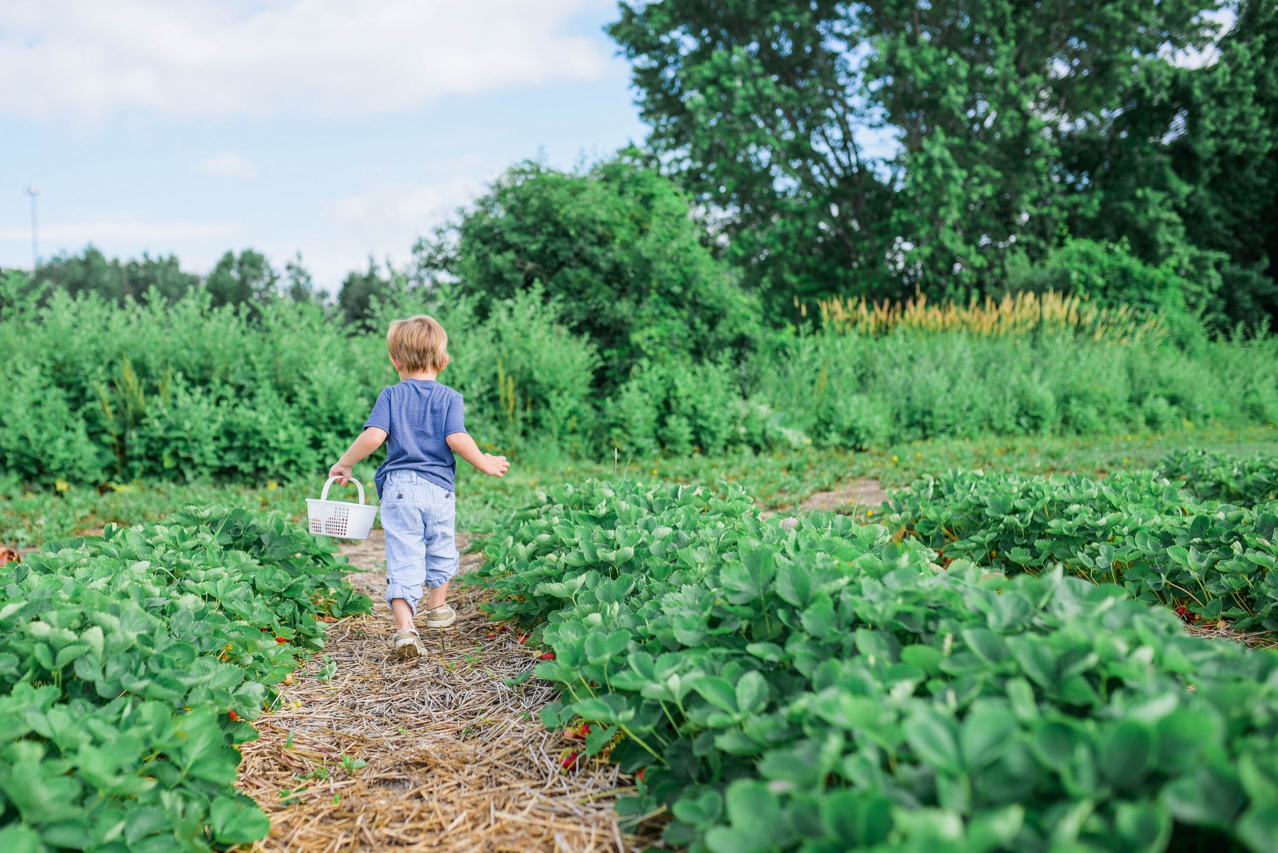 kid in garden