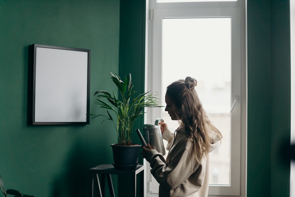 young woman watering plants in home