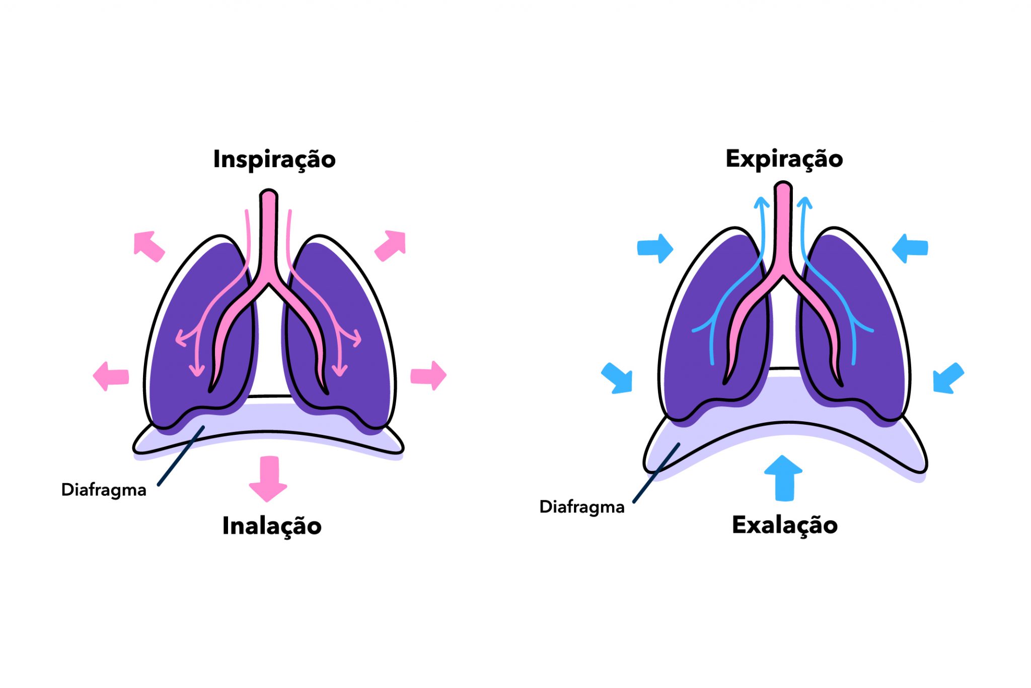 descubra-a-respira-o-diafragm-tica-meditopia-blog