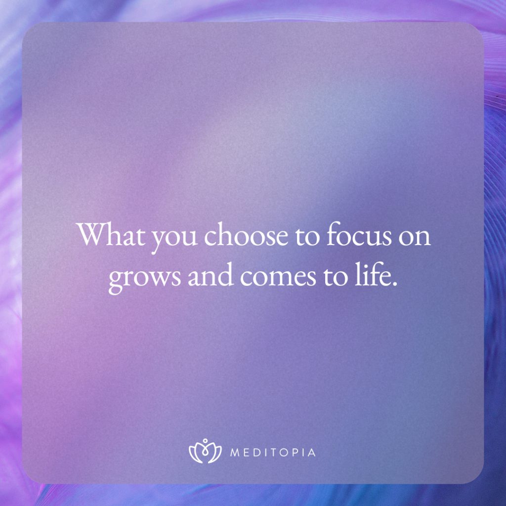 quote meditopia